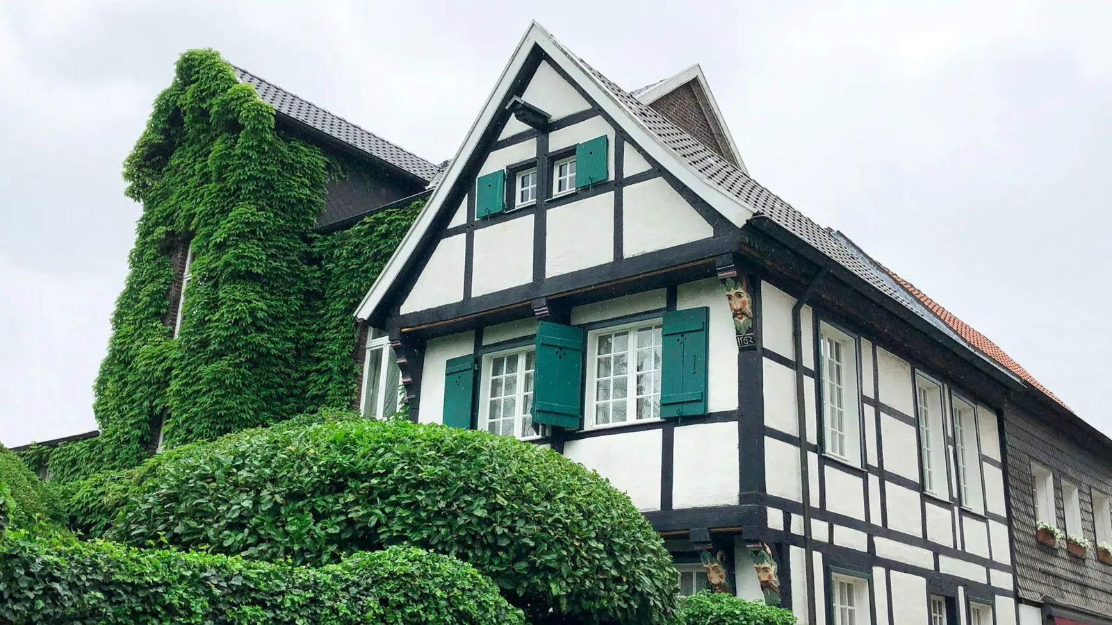 Fachwerkhaus mit Efeu zwischen hohen Bäumen